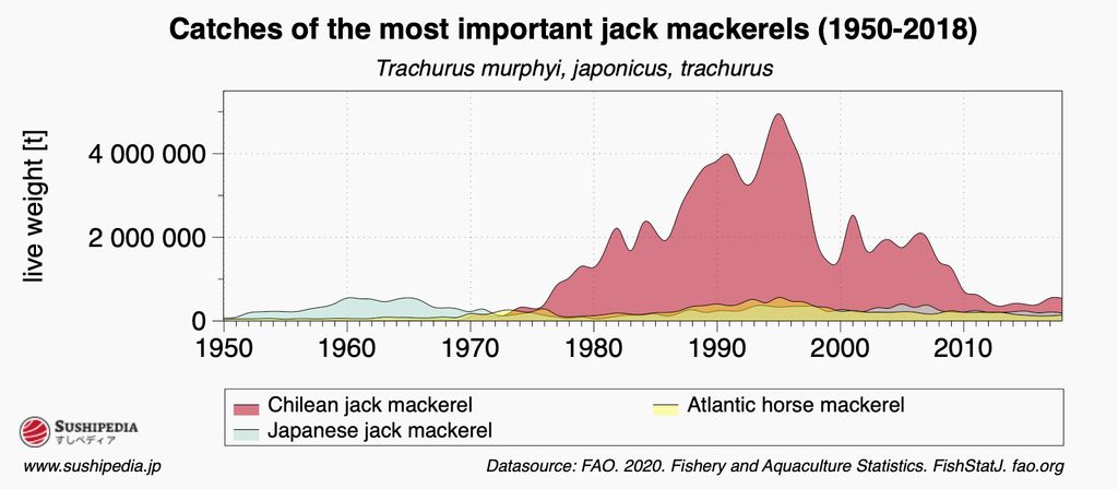 Graph depicting catch volumes of key mackerel from 1950 to 2018. The data shows 'Trachurus murphyi', 'japonicus', and 'trachurus' species. The 'Chilean Jack Mackerel' is represented in red, with peak catches around the late 1990s. 'Japanese Jack Mackerel' is shown in turquoise, and 'Atlantic Jack Mackerel' in yellow, both with much lower catch volumes. Data source: FAO. 2020. Fishery and Aquaculture Statistics.