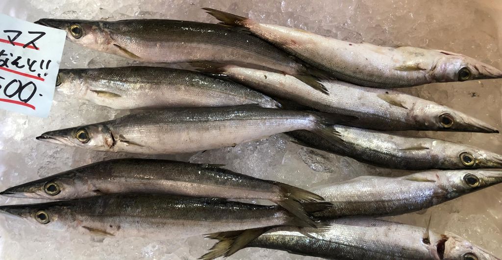 Several fresh specimens of Akakamasu lie on ice in a crate. The picture was taken at a Japanese market.