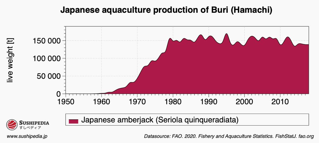 A filled line graph presenting the Japanese aquaculture production of Buri, also known as Hamachi or Japanese amberjack, from 1950 to 2010. The production volume is indicated in live weight tons, and the graph shows a substantial increase over the years, starting from near zero and reaching around 150,000 tons by 2010. The graph is shaded in deep pink, with the y-axis ranging from 0 to 150,000 tons. Data source is credited to FAO 2020, Fishery and Aquaculture Statistics.