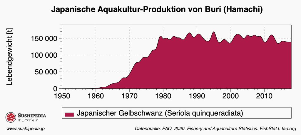 Ein gefülltes Liniendiagramm stellt die japanische Aquakulturproduktion von Buri dar, auch bekannt als Hamachi oder Gelbschwanzmakrele, von 1950 bis 2010. Das Produktionsvolumen wird in Lebendgewichtstonnen angegeben, und das Diagramm zeigt einen erheblichen Anstieg über die Jahre, beginnend bei fast null bis hin zu etwa 150.000 Tonnen im Jahr 2010. Das Diagramm ist in tiefem Pink schattiert, mit einer Y-Achse, die von 0 bis 150.000 Tonnen reicht. Die Datenquelle wird der FAO 2020, Statistik der Fischerei und Aquakultur, zugeschrieben.
