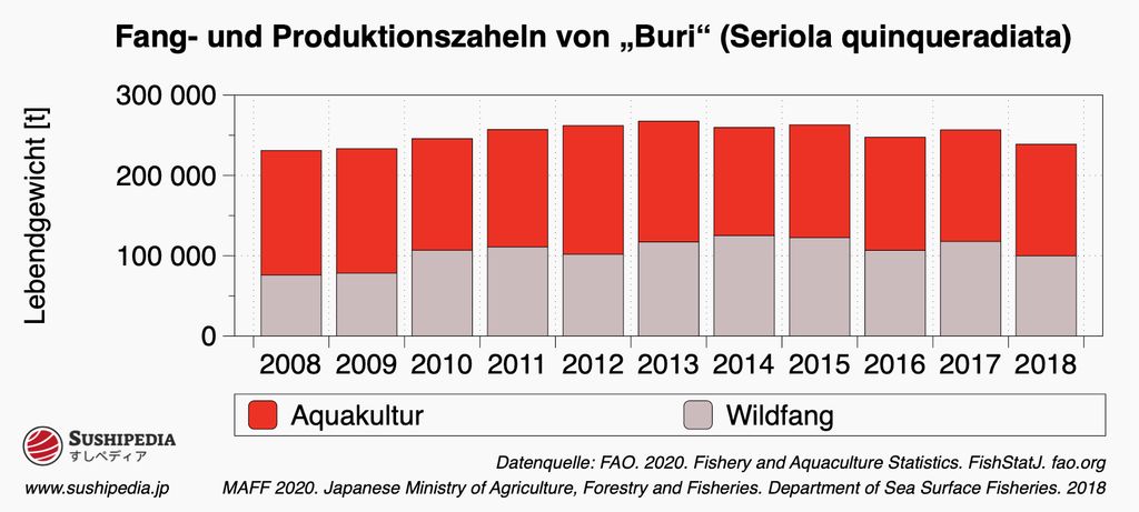 Ein Balkendiagramm zeigt die Produktionszahlen von Buri, auch bekannt als Gelbschwanzmakrele, von 2008 bis 2018. Das Diagramm unterscheidet zwischen Meeresaquakultur (in Rot dargestellt) und Wildfang (in Grau dargestellt). Die Produktion wird in Lebendgewichtstonnen gemessen, mit einer Skala auf der linken Seite von 0 bis 300.000 Tonnen. Die Datenquelle wird mit FAO 2020, Fischerei- und Aquakulturstatistik und dem japanischen Ministerium für Landwirtschaft, Forstwirtschaft und Fischerei, Abteilung für Meeresoberflächenfischerei, 2018, angegeben.