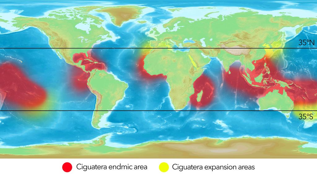 A world map shows the distribution and expansion area of ​​Ciguatera