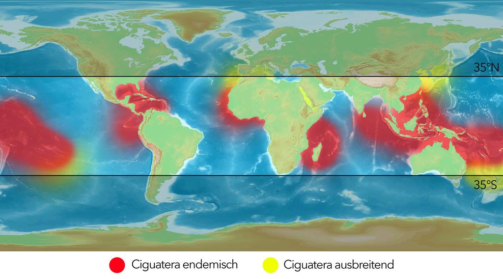 Eine Weltkarte zeigt das Verbreitungs- und Expansionsgebiet Ciguatera