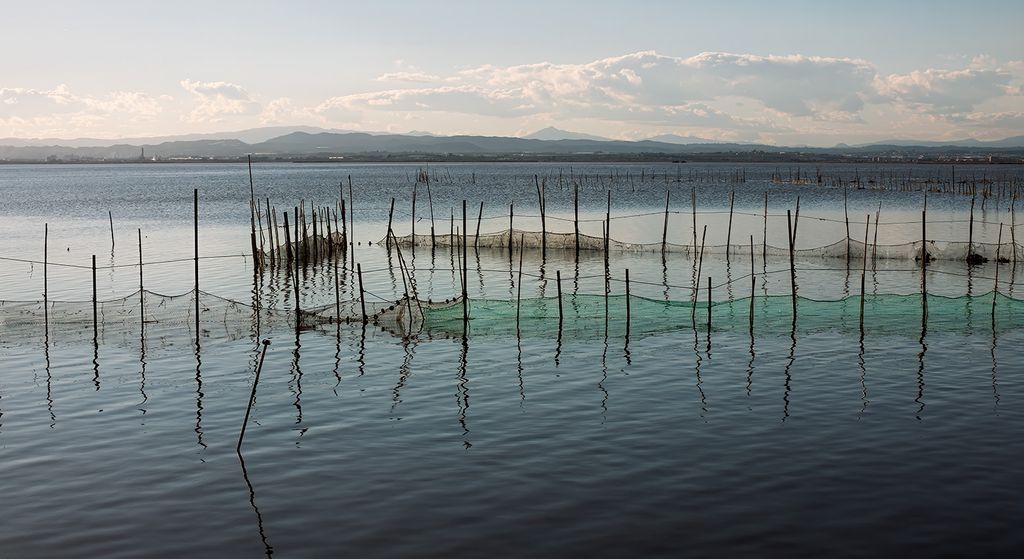 Freshwater lagoon with stakes and nets, eel habitat, with mountains in the background.