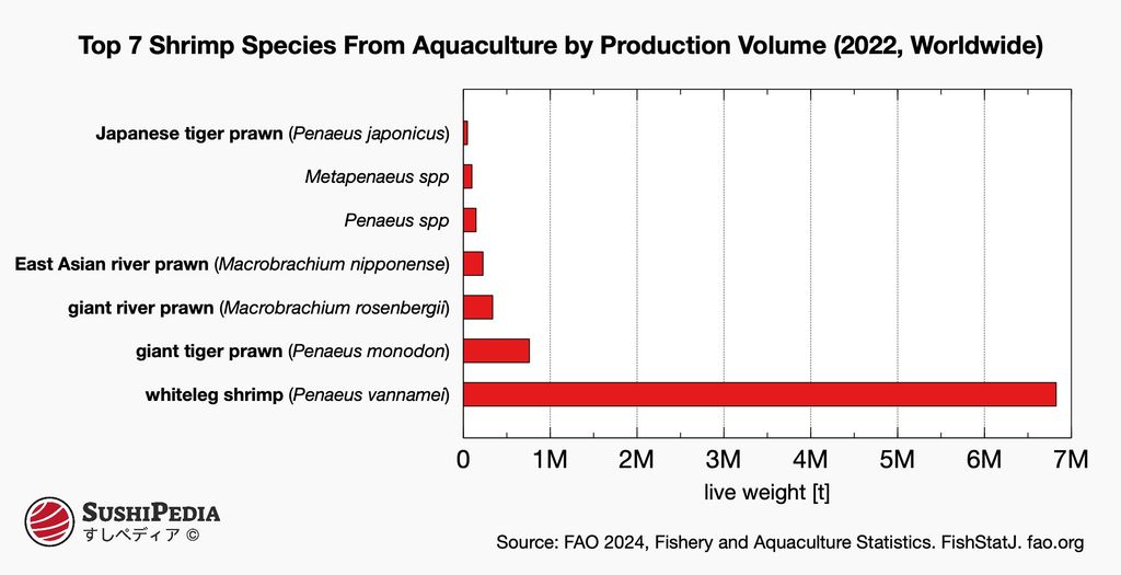 Bar chart shows the top five aquaculture shrimp species by production volume for 2022, with Penaeus vannamei at the top, followed by Penaeus monodon, Macrobrachium rosenbergii, Macrobrachium nipponense and Penaeus japonicus.