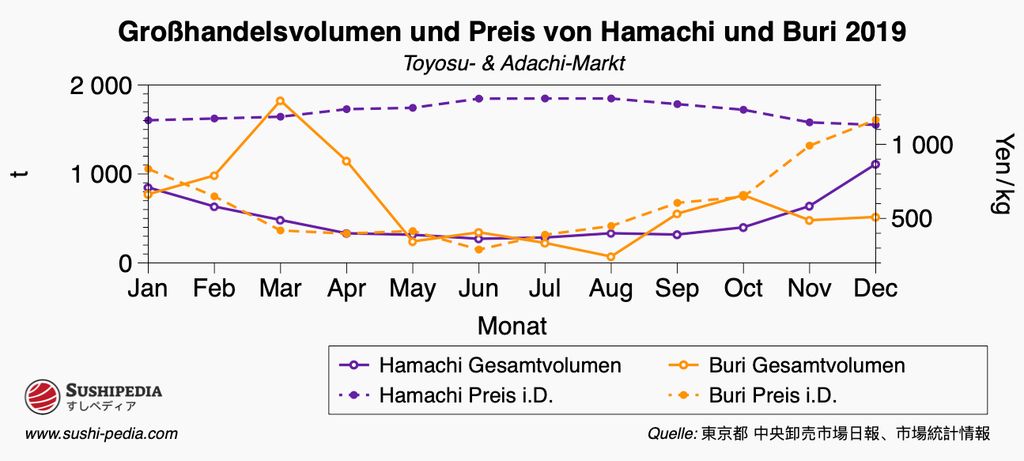 Ein Liniendiagramm mit zwei Achsen, das die Korrelation zwischen Großhandelsvolumen und Durchschnittspreis für Hamachi und Buri auf den Toyosu- und Adachi-Märkten im Laufe des Jahres 2019 darstellt. Das Diagramm hat zwei Y-Achsen, wobei die linke Achse das Volumen in Tonnen und die rechte Achse den Preis in Yen pro Kilogramm repräsentiert. Die Linien für das Gesamtvolumen und den Durchschnittspreis von Hamachi sind in Lila gefärbt, während die für Buri in Orange gehalten sind. Auffällige Trends sind ein Höhepunkt im Hamachi-Volumen im März und signifikante Preisschwankungen für Buri im gleichen Zeitraum. Die Quelle wird als Daten der Toyosu- und Adachi-Märkte angegeben.