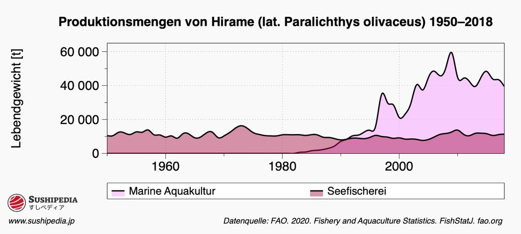 Ein Diagramm, das die Produktionszahlen von Hirame, wissenschaftlich als Paralichthys olivaceus bekannt, von 1950 bis 2018 darstellt. Das Diagramm zeigt zwei Produktionsmethoden: Aquakultur (marine) in Pink und Fang in Dunkelpink. Das Lebendgewicht in Tonnen wird auf der Y-Achse angezeigt, beginnend von 0 bis zu 60.000 Tonnen. Das Diagramm zeigt einen stetigen Anstieg der Aquakulturproduktion über die Jahre mit Schwankungen in den Fangraten. Die Datenquelle wird der FAO 2020, Fischerei- und Aquakulturstatistik, zugeschrieben.