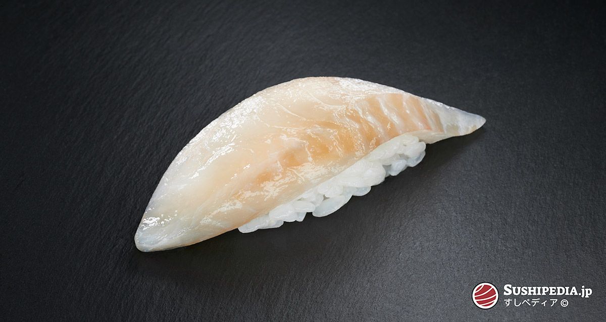 Photo of a freshly prepared sushi (nigiri sushi) with the ingredient that is called Hirame in Japanese.