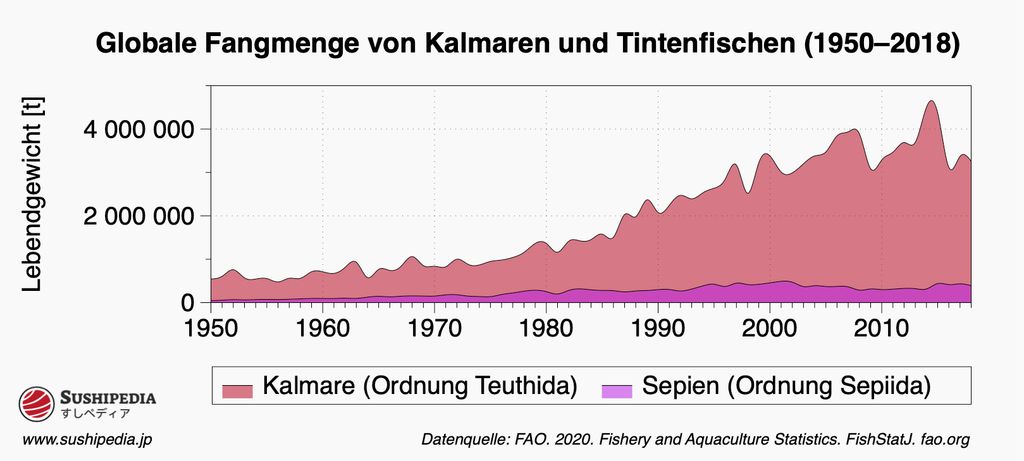 Ein Balkendiagramm, das einen Anstieg der Fangmengen von Kalmaren und Tintenfischen über einen Zeitraum von 1950 bis 2018 zeigt.
