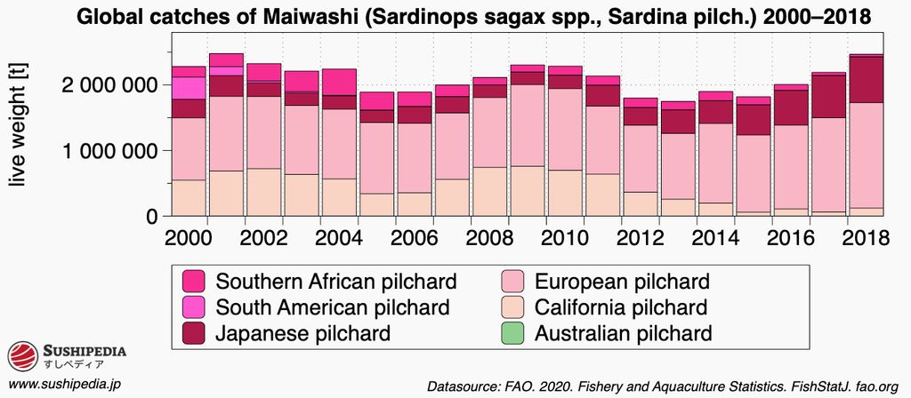 Bar chart of global catches of Maiwashi (Sardinops sagax spp., Sardina pilch.) from 2000 to 2018