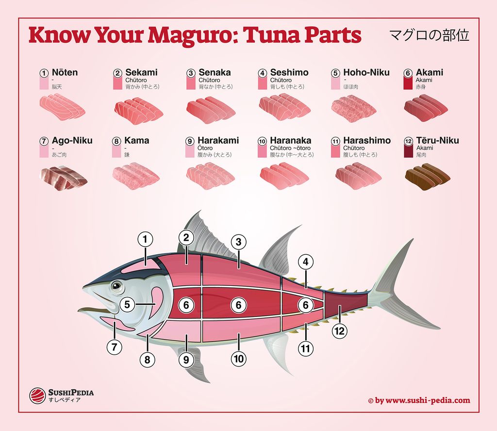 Illustration of a tuna with marked sections and corresponding sushi cuts