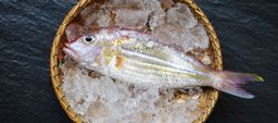 Fresh fish on ice in a traditional bamboo basket, prepared for sushi and sashimi making. Freshness and meticulous preparation are paramount for high-quality sushi.