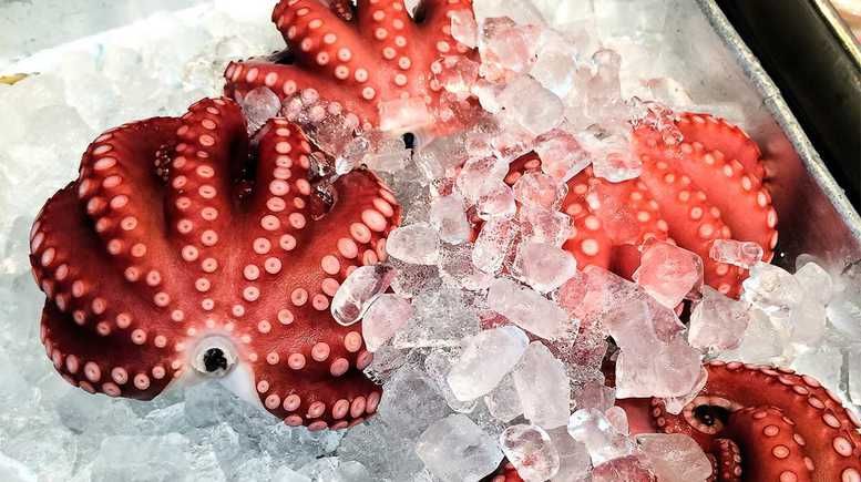 Fresh Yudako octopus on ice for sushi, traditional Japanese cuisine