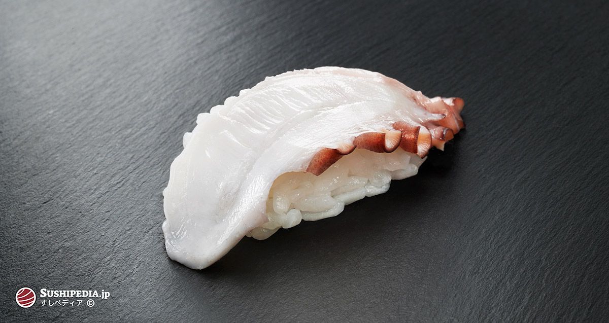 Photo of a freshly prepared sushi (nigiri sushi) with the ingredient that is called Tako in Japanese.