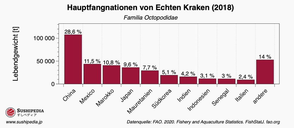 Balkendiagramm der Hauptfangnationen von Echten Kraken im Jahr 2018, mit Prozentangaben und Mengen in Tonnen für Länder wie China, Mexiko, Marokko und andere.