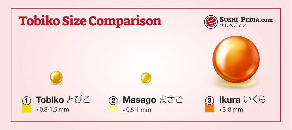 A graphic illustrating the size differences between Tobiko, Masago, and Ikura, three popular types of roe used in sushi.