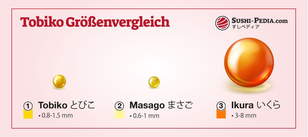 Eine Grafik, die die Größenunterschiede von Tobiko, Masago und Ikura illustriert, drei beliebten Rogenarten in der Sushi-Küche.