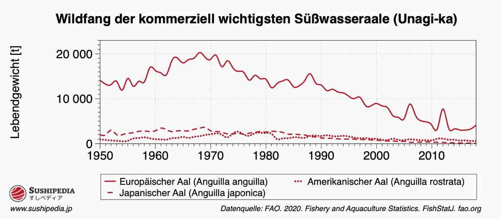 Das Bild ist ein Datendiagramm, das die Produktion von wild gefangenem und gezüchtetem Unagi oder Aal (Anguilla spp.) von 1950 bis 2018 zeigt. Das Diagramm verwendet zwei Farben, um die Quellen zu unterscheiden: Wildfänge sind dunkelrosa und die Aquakulturproduktion hellrosa markiert. Sie zeigt den allgemeinen Trend, dass die Abhängigkeit von der Aquakultur im Laufe der Zeit zunimmt, wobei die Zuchtproduktion den Wildfang ab den 1990er Jahren deutlich übertrifft. Die y-Achse stellt das Lebendgewicht in Tonnen dar und zeigt einen Höhepunkt der Unagi-Farmerzeugung in den 2000er Jahren. Daten von der FAO 2020, Fischerei- und Aquakulturstatistik.