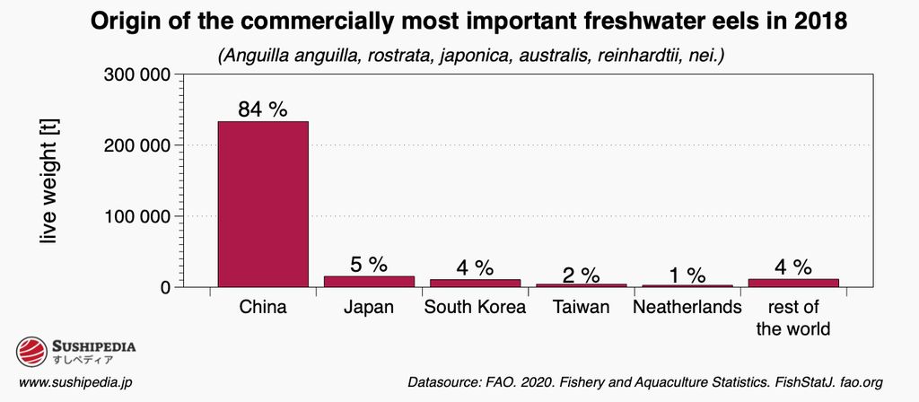 This bar graph provides a clear visualization of the global distribution of commercially important freshwater eel species (Anguilla spp.) in 2018. It is evident that China dominates the market with 84% of the production, followed by Japan with 5%, South Korea with 4%, and Taiwan with 2%. The Netherlands contributes 1%, and the combined production of other countries makes up 4% of the total. The data, measured in live weight tonnes, showcases China's significant lead in eel aquaculture and the spread of production across various countries, according to the FAO 2020 Fishery and Aquaculture Statistics.