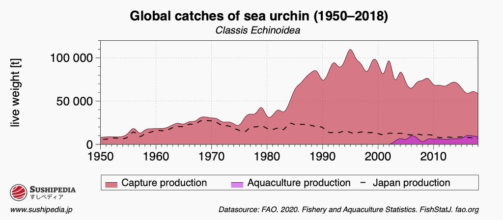 The chart displays the global sea urchin harvest from 1950 to 2018. It distinguishes between wild catch (pink) and aquaculture (purple). Japan's harvest is represented by the black dashed line. Data source: FAO (2020).