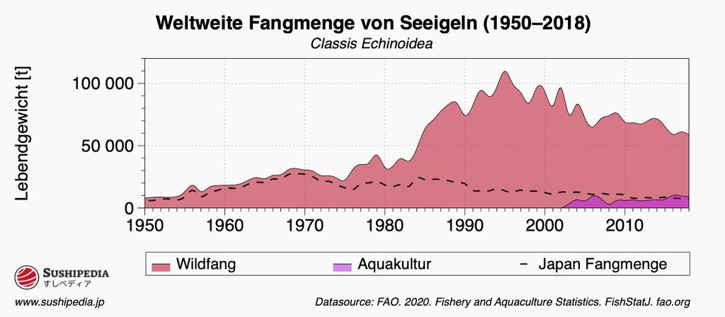 Eine Grafik, die die weltweite Fangmenge von Seeigeln zwischen 1950 und 2018 zeigt. Wildfang ist in rosa dargestellt, Aquakultur in violett. Die schwarze gestrichelte Linie zeigt die Fangmenge aus Japan. Die Daten stammen von der FAO (2020).