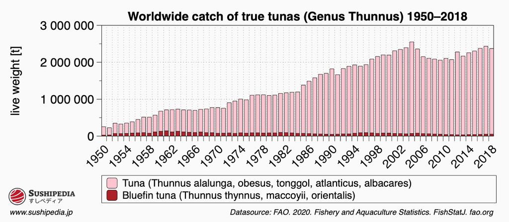 Bar graph of the global catch volumes of tuna species from 1950 to 2018