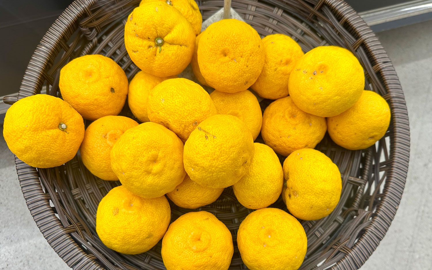 A woven basket filled with fresh yuzu fruits (Citrus junos) from Kanagawa, Japan.