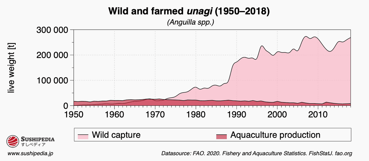 Chart showing the catch numbers of wild unagi and farmed unagi.