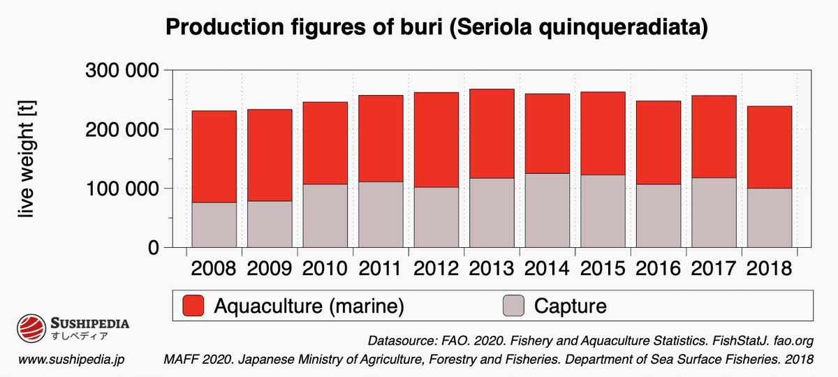 The diagram shows the distribution of the production quantity of buri (Japanese name of the Japanese amberjack or yellowtail, Seriola quinqueradiata) from aquaculture and wild caught.
