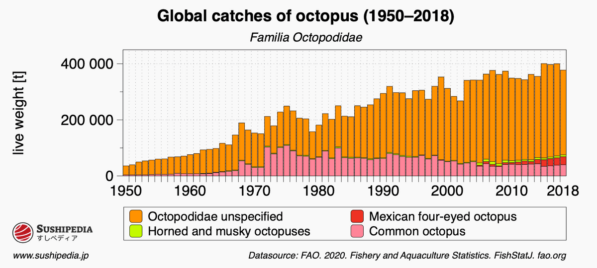 Diagram showing the development of catches of octopus (tako).
