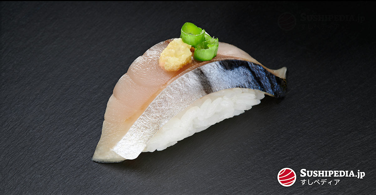 Saba Sushi 〚 mackerel 〛 【鯖】 (Information) - Sushipedia