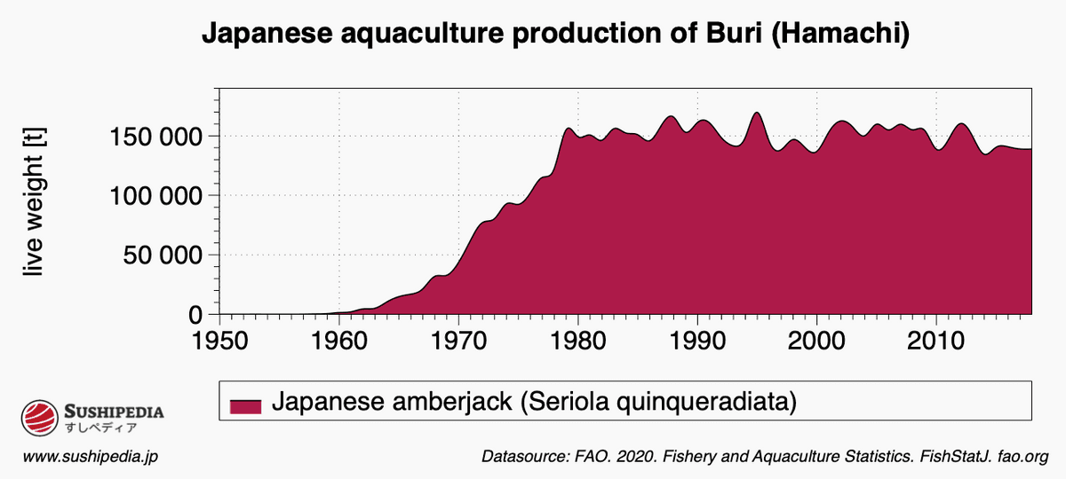 Diagram showing the time trend of breeding hamachi in aquaculture.