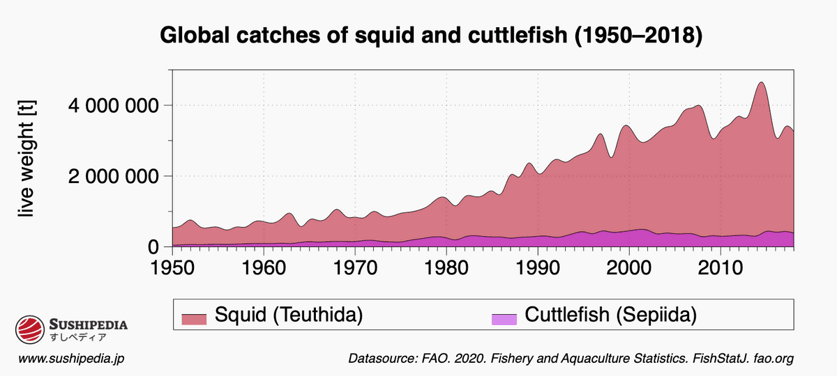 Diagram showing the distribution and course of the catch of squid and cuttlefish (ika).