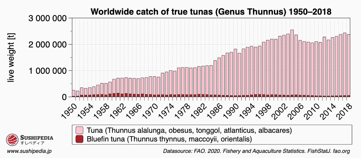 Diagram showing the development of the global tuna (thunnus) catch from 1950 to 2018.