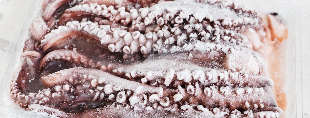 Arms of an octopus that were frozen.