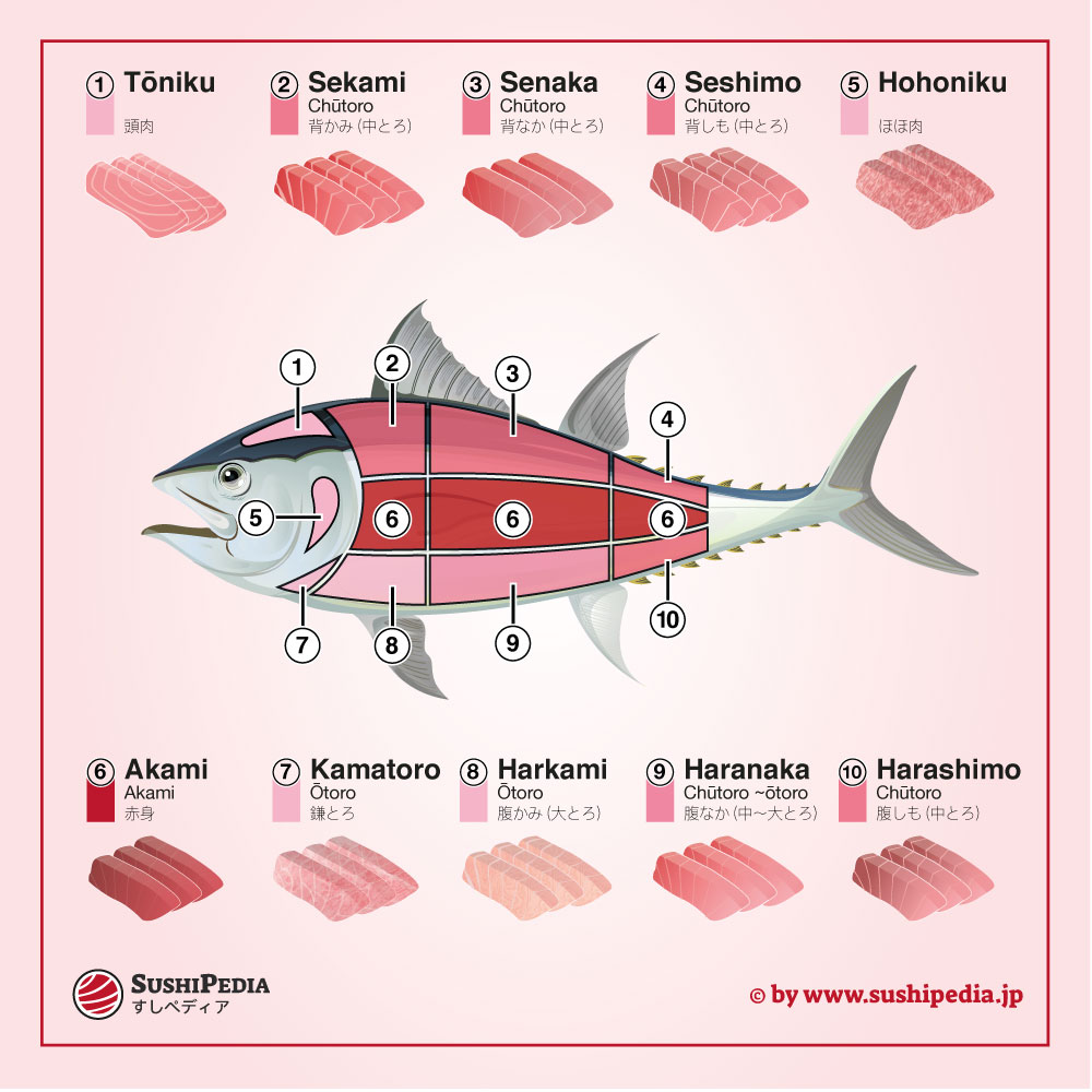 Toro vs maguro