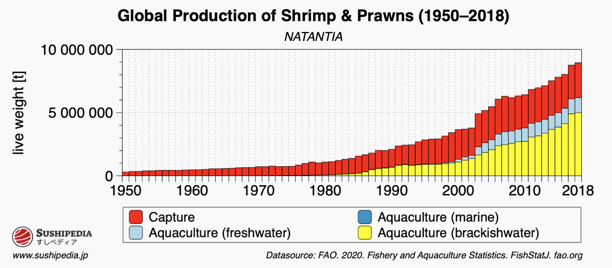 The chart shows the global catch of shrimp and prawn (Natantia).